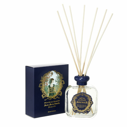 DIFFUSER - AMERICA 250ml