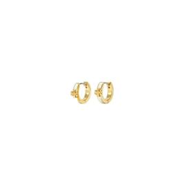 Icon Enamel Huggie Earrings
