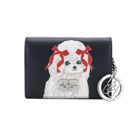 CARD HOLDER WITH FLAP PUDDLE