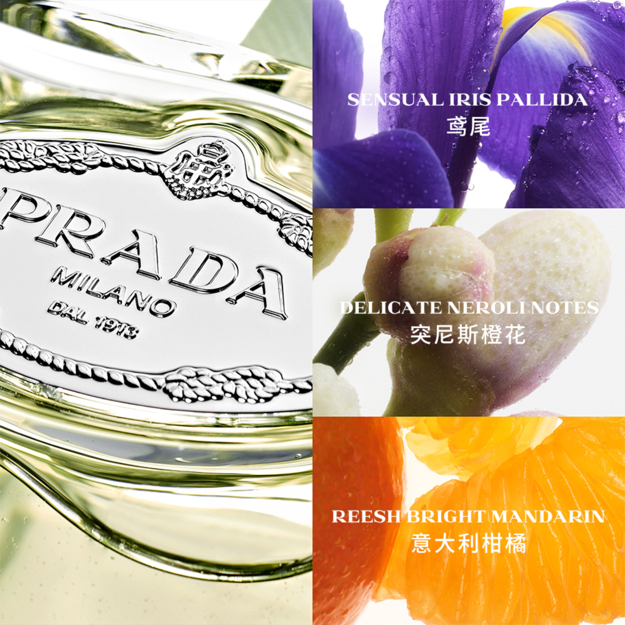 Infusion d'Iris EDP 鸢尾轻芳淡香水100ml - 普拉达香水- 美妆馆