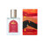 신세계인터넷면세점-르플랑 에떼-perfume_for_man-강진 ; 드리머 EDT 50ml