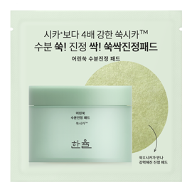 어린쑥수분진정 패드 2매입