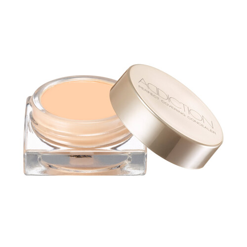 PERF.CONCEALER COVERING 002 8g 遮瑕膏