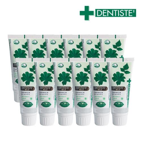 신세계인터넷면세점-덴티스테-DentalCare-Dentiste Mild Nigttime Toothpaste Tube 60G*12EA