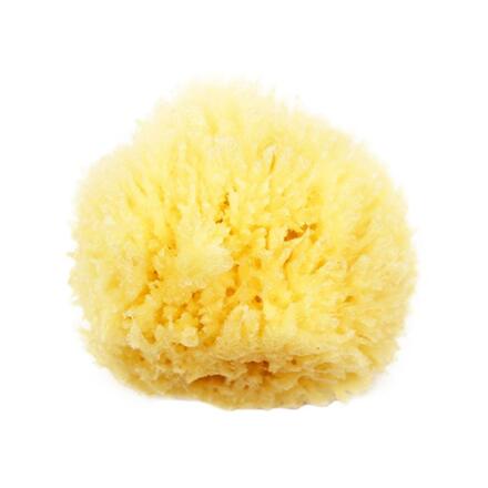 NATURAL SEA SPONGE 沐浴海绵